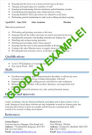 Use our free examples for any position, job title, or industry. Good Cv Examples Templates For 100 Jobs Cv Plaza