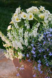 Ready To Garden Itchy Palms And Spring Planting Plants Petunia Plant Container Gardening Vegetables