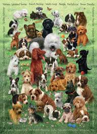 Check spelling or type a new query. 350pc Puppy Love Jigsaw Puzzle By Cobble Hill Puzzle Co Mixed Piece Sizes