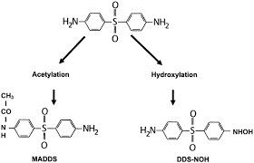 Image result for Dapsone