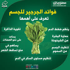 فوائد الجرجير الصحية للجسم health facts food health facts health