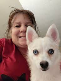 What do you think about my puppy being a chihuahua mix?