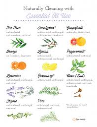 Natural Cleaning With Essential Oils 101 Live Simply In 2020 Essential Oils Cleaning Essential Oils 101 Essential Oils Uses Chart