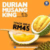 Baner unik durian kocok / baner unik durian kocok. 1