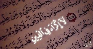 اتهام المسلمين بالعنف والغلظة في معاملة غير المسلمين