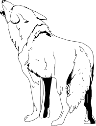 coloriage coyote 17 coloriages a imprimer gratuits de champignon xxl