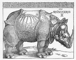 Sein bericht und eine beigelegte zeichnung dienten dürer wohl als vorlage für sein flugblatt. Albrecht Durer In 3d Kultur Online