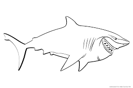 Nemo is the lead character from the 2003 american animated adventure film finding nemo, released by the walt disney pictures and produced by the pixar animation studios. Bruce Finding Nemo Coloring Page Coloring Home