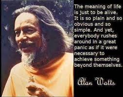 The Monkey Buddha: The Meaning of Life by Alan Watts