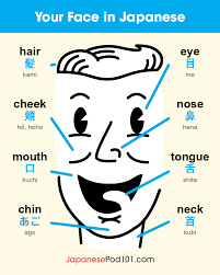 Learn Japanese Japanesepod101 Com Korean Words Learning Korean Phrases Korean Words