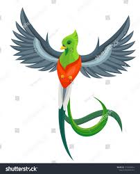 Birds That Start With The Letter Q Vector Beautiful Flying Quetzal Bird Symbol Of Guatemala Isolated On White Background Children Alphabet I In 2020 Graphic Design Art Alphabet Illustration Graphic Art