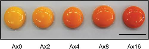 Astaxanthin Powder manufacturer