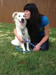 Connecting loving adoptive families with children yearning for a family. Adopt Paws Shelter Of Central Texas