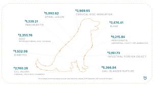 The type of pet you have; Hartville Pet Insurance For Dogs And Cats Cash Back On Vet Bills