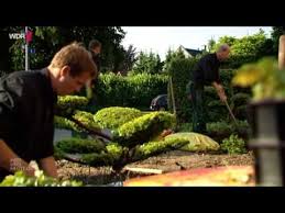 Gartenbonsai Und Formgeholze Pflanzencenter Hintemann Gartenbonsai Niwakis Jimdo Page Gartenbonsai Pflanzencenter Garten