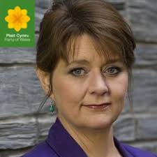 Leanne Wood interview: another Wales is possible