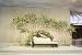 Flower Backdrop Wedding Stage Decoration