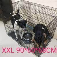 Maybe you would like to learn more about one of these? Kandang Kucing Besar Terbaik Terbaru August 2021 Harga Murah