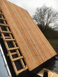 douglas dak element gemonteerd hauswand fassade haus holzverkleidung fassade