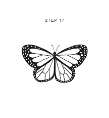 1280x720 how to draw a butterfly step by step for beginners for kids. How To Draw A Butterfly Easy Step By Step Tutorial