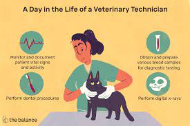 A logistics assistant is responsible for warehouse operations, such as expediting purchases, maintaining communications with vendors, receiving and verifyi a logistics assistant is responsible for warehouse operations, such as expediting pu. Veterinary Technician Job Description Salary Skills More