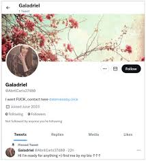 Twitters bot spam keeps getting worse — its about porn this time