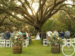 Eden Gardens State Park Oak Tree Fall Wedding Outdoor Wedding Florida Oak Tree Wedding Ceremony Tree Wedding Ceremony Fall Garden Wedding