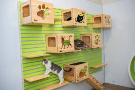 Banfield pet hospital offers quality veterinary care in destin, fl. Guide Bay Area Vets Parks And Other Places To Take Your Pet Community Impact