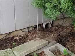 For problem and hard to vent foundations. Foundation Vents And Basement Windows Below Grade Nonprofit Home Inspections