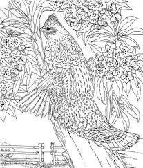 Hard Coloring Page Coloring Book Abstract Coloring Pages Detailed Coloring Pages Bird Coloring Pages