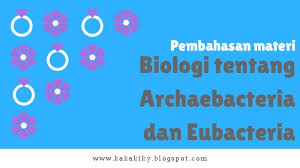 Rangkuman materi biologi kelas 10. Rangkuman Biologi Kelas X Archaebacteria Dan Eubacteria Pengertian Klasifikasi Dan Peranan Dalam Kehidupan