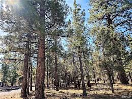 46971 Skyview Dr, Big Bear City, CA 92314