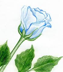 Selene Zar On Twitter Disegno Di Fiori Disegni Di Rose Disegno Natura Morta