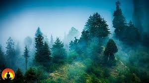 Download Zen Meditation Healing Mysuc Mindfulness Mp3 Free And Mp4
