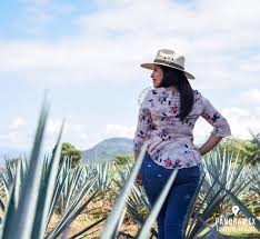 Tu Y Yo Entre Los Campos Agaveros No Se Piensalo Travelphotography Vivepanoramex Ilovegdl Tequila Love Cowboy Hats Fashion Cowboy