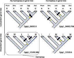 Des feedback de nos clients qui marquent une vraie différence. Extensive Gene Tree Discordance And Hemiplasy Shaped The Genomes Of North American Columnar Cacti Pnas