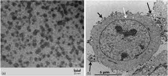 Salicylic Acid An Overview Sciencedirect Topics