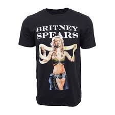 Image result for britney spears python