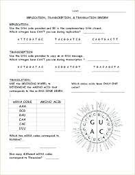 Chapter 14 dna replication worksheet and answer key. Dna Replication Worksheet Answer Key Quizlet Dna Structure And Replication Worksheet Pogil Quizlet Pdf Pohozhie Zaprosy Dlya Dna Replication Worksheet Answer Key Dell Banker