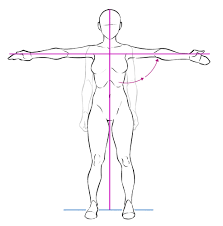 How to get good at drawing. Learn From Anatomy To Improve Your Poses Art Rocket