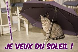 Résultat de recherche d'images pour "gif veux du soleil"