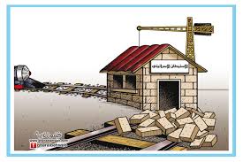 كركتير ابواب خشب