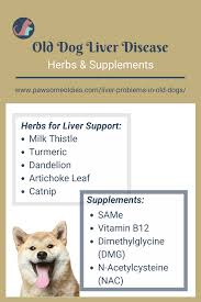 Some of the best dog supplements for liver disease include: Liver Problems In Old Dogs Pawsome Oldies Old Dog Health Lap Dogs Old Dogs Top Dog Breeds
