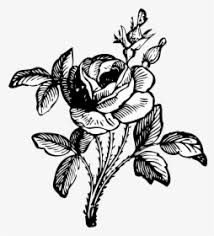 We did not find results for: Black And White Flower Png Images Transparent Black And White Flower Image Download Pngitem