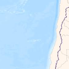 Image result for Pseudechinolaena