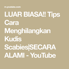 Luar Biasa Tips Cara Menghilangkan Kudis Scabies Secara Alami Youtube Alam