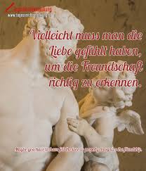 Gegenüber von der tür ist das fenster. Vielleicht Muss Man Die Liebe Gefuhlt Haben Um Die Freundschaft Richtig Zu Erkennen Zitat Von Die Tagesrandbemerkung