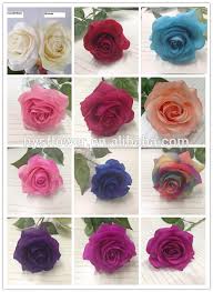 Real touch flowers new generation of incredible realism. Natural Flowers Wholesale Flowers Artificial High Quality Real Touch Rose Decorative Wedding Stage Buy Decorative Wedding Stage Flowers Artificial Natural Flowers Wholesale Product On Alibaba Com