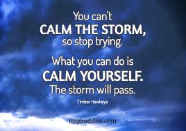 Image result for calm