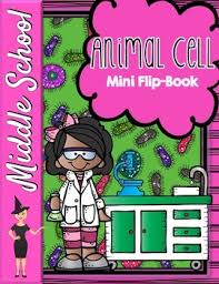 Mitosis flip answer key bing blog with pdf links. Animal Cell Organelles Mini Flip Book By The Morehouse Magic Tpt
